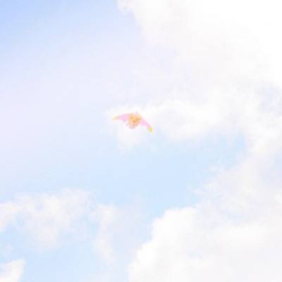 御龙高手正式版下载